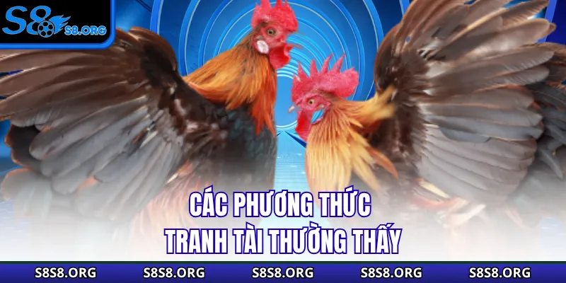 Các phương thức tranh tài thường thấy