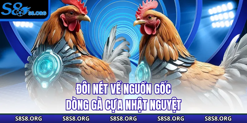 Đôi nét về nguồn gốc dòng gà cựa nhật nguyệt